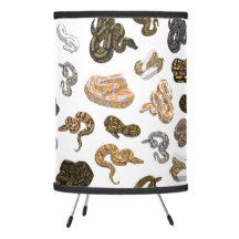 Boll Python Snake Morph Mönster