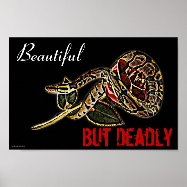 Boll Python Snake poster (Framsidan)