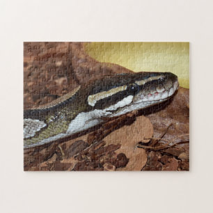 Boll Python Snake Pussel