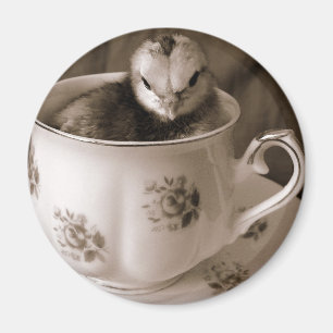 Bollar i Tea Kopp Magnet