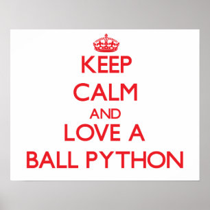 Bollpytonorm Poster