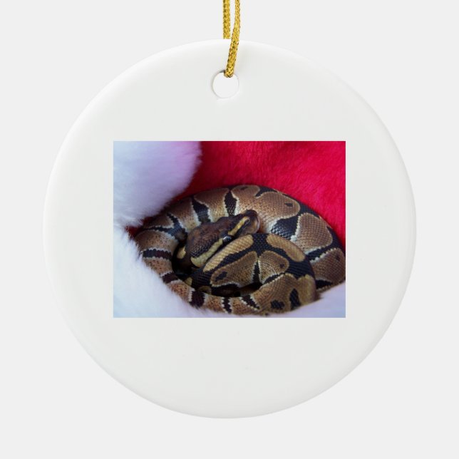 Bollpytonormorm i Santa hattbild Julgransprydnad Keramik (Framsidan)