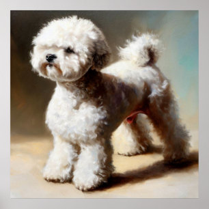 Bolognese Hund Poster