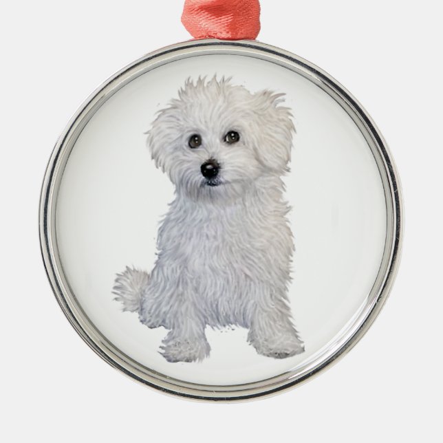 Bolognese Puppy Julgransprydnad Metall (Framsidan)