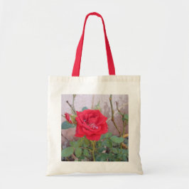 bolsa econômica  tygkasse