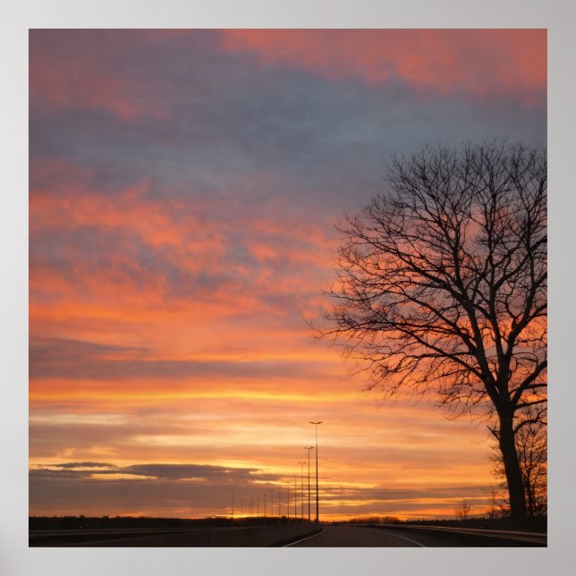 Bolso Poster (Framsidan)