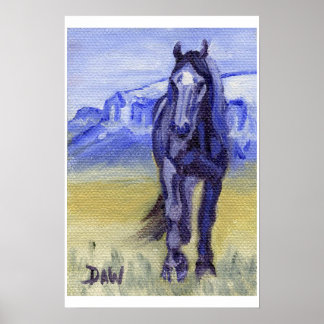 Bolthar i Montana Poster