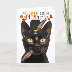 Bombay Black Cat-Kattdjuret tacksamt för PURR-nyck Helgkort
