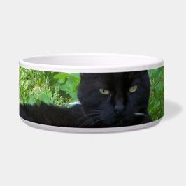 Bombay Cat Ljugande i Klöver Food Bowl