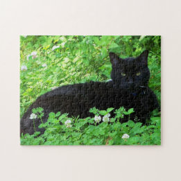 Bombay Cat Ljuger i Grönt Klöver Puzzle Pussel