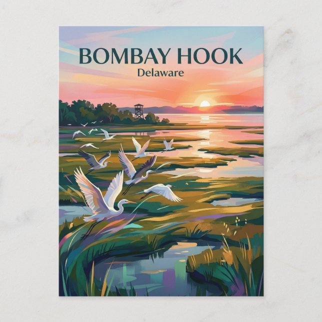 Bombay Hook National Wildlife Refuge USA Vykort (Framsida)