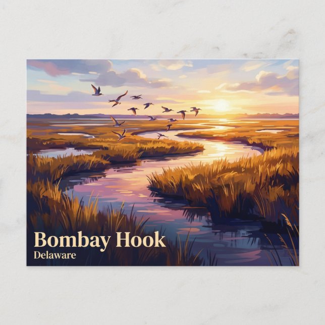 Bombay Hook National Wildlife Refuge USA Vykort (Framsida)