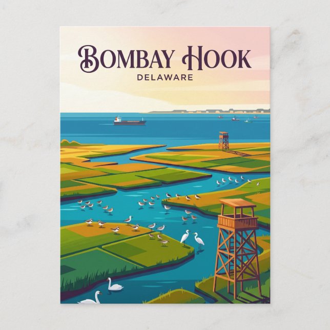 Bombay Hook USA Vykort (Framsida)