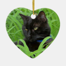 Bombay svart katt födelsedagsprydnad julgransprydnad keramik