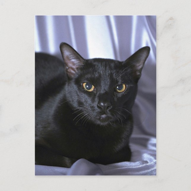 Bombay Vykort (Framsida)