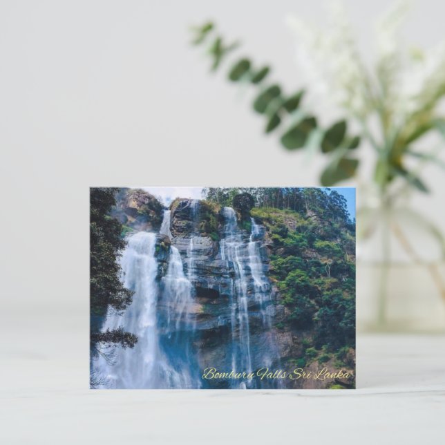 Bomburu faller Sri Lanka - Naturfotografi Vykort (Stående Fram)