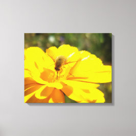 Bombyliida Pollination Bright Gult Flower Canvastryck