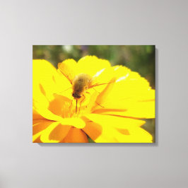 Bombyliida Pollination Bright Gult Flower Canvastryck