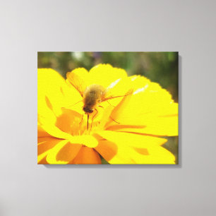 Bombyliida Pollination Bright Gult Flower Canvastryck