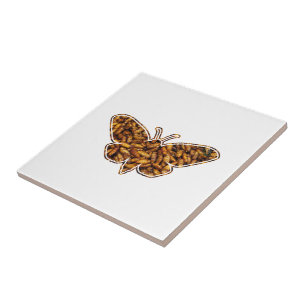Bombyx Mori Silke Moth Life Cycle Silhouette Kakelplatta