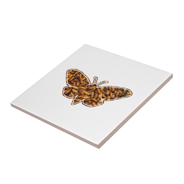 Bombyx Mori Silke Moth Life Cycle Silhouette Kakelplatta (Sidan)