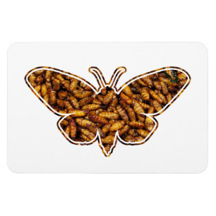 Bombyx Mori Silke Moth Life Cycle Silhouette Magnet