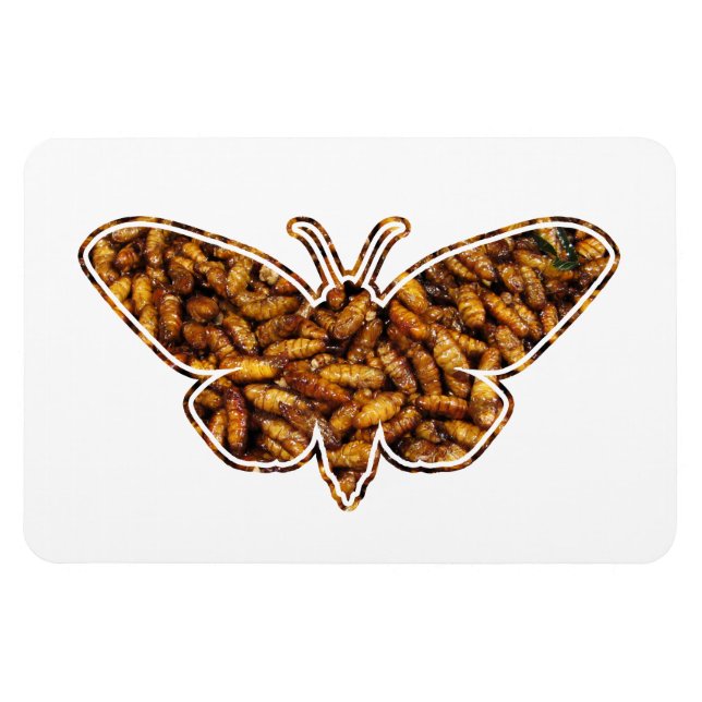 Bombyx Mori Silke Moth Life Cycle Silhouette Magnet (Horisontell)