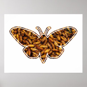 Bombyx Mori Silke Moth Life Cycle Silhouette Poster
