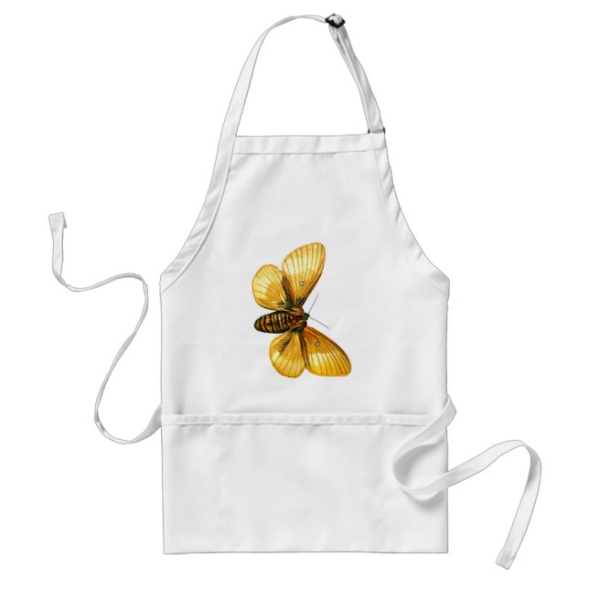 Bombyx quercus förkläde (Framsidan)