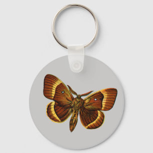 Bombyx quercus hane nyckelring