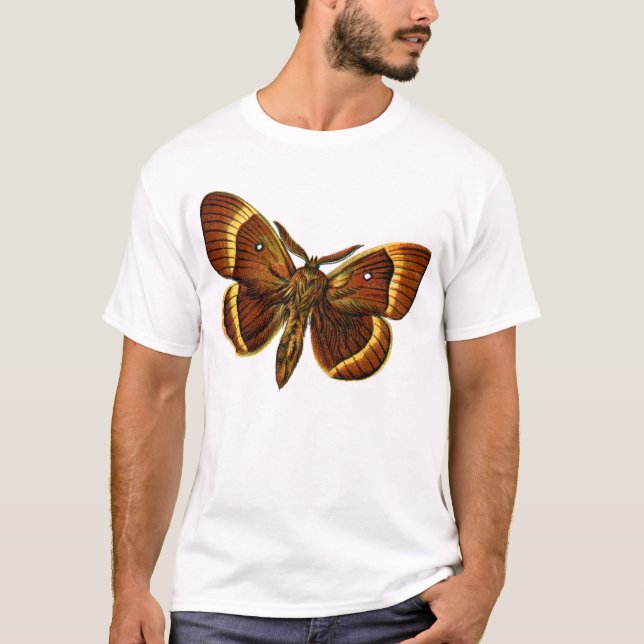 Bombyx quercus hane tröja (Framsida)