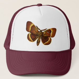 Bombyx quercus hane truckerkeps