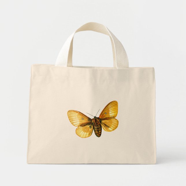 Bombyx quercus mini tygkasse (Framsidan)