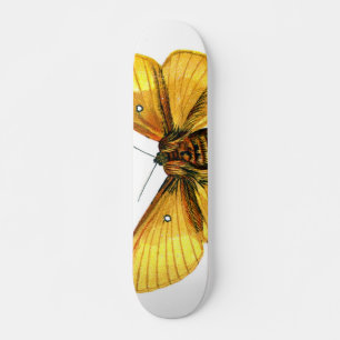 Bombyx quercus skateboard bräda 21,5 cm