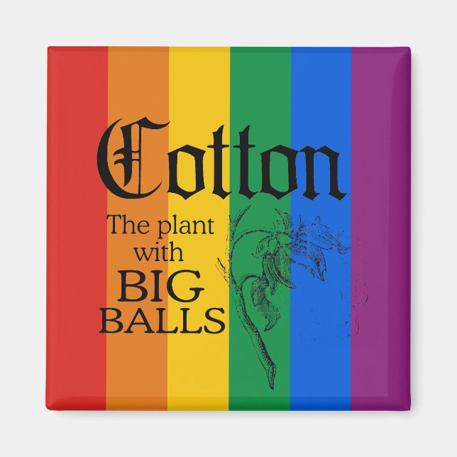 BOMULL: ANLÄGGNINGEN MED STORA BOLLAR MAGNET (Framsidan)