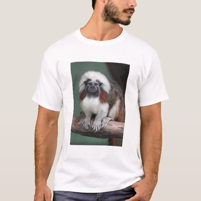 Bomull-bästa Tamarin T Shirt (Framsida)