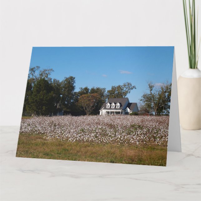 Bomull Fält i Georgien med hemkort Kort (Framsida)