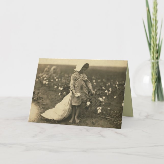 Bomull Fält Kort (Framsida)