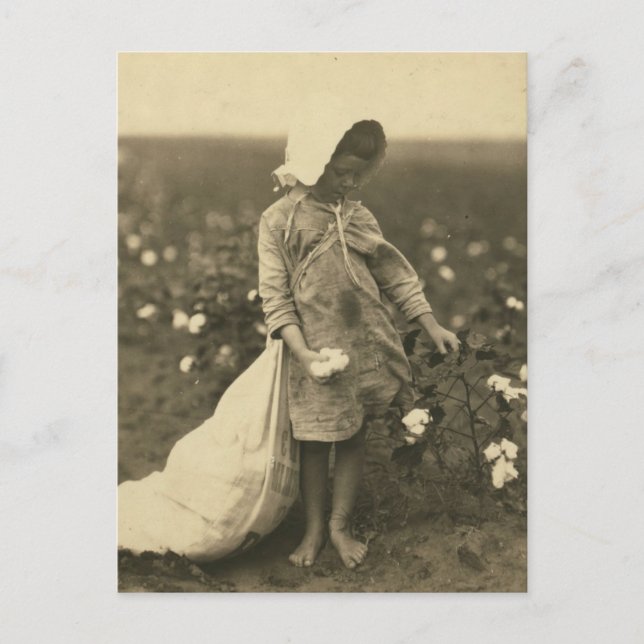 Bomull Fält Vykort (Framsida)