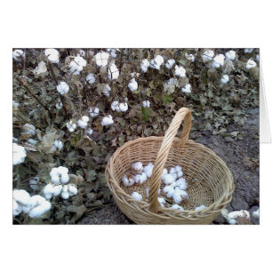 Bomull Pickin' Basket Hälsningskort