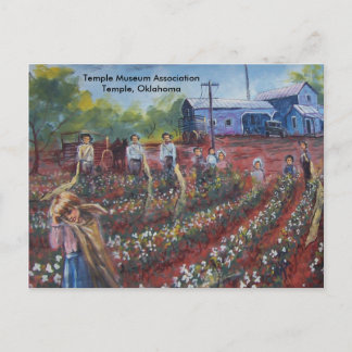 Bomull Pickin' i Oklahoma Vykort