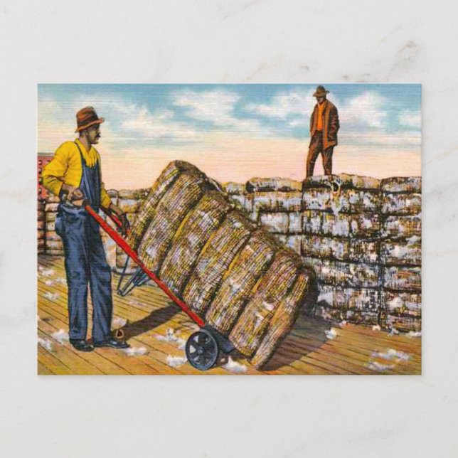 Bomullsbalar i djupet av södra 1920-talet vykort (Framsida)