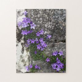Bomullsblommor som växer på en mur pussel