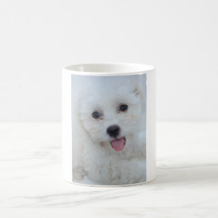 BomullsDe Tulear Kaffe kopp