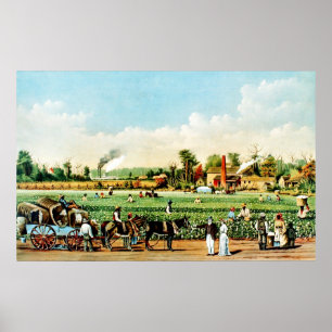 Bomullskoloni i Mississippi Poster