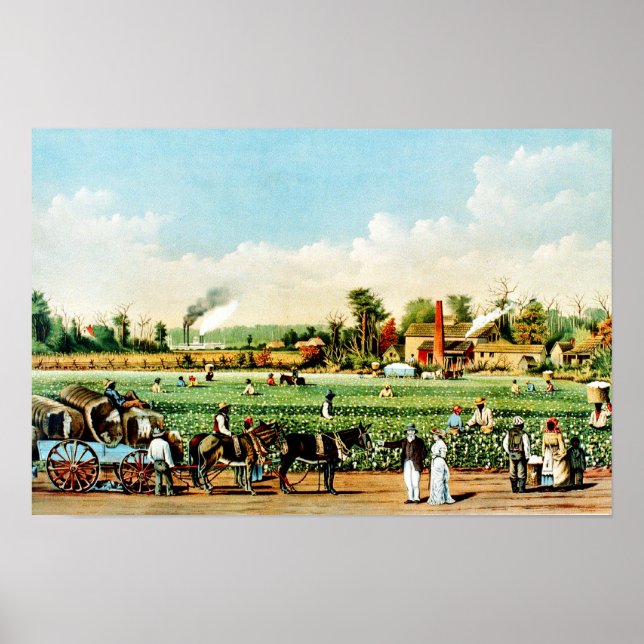 Bomullsplantage i Mississippi Poster (Framsidan)