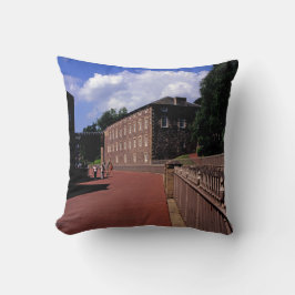 Bomullssjuka på nytt Lanark-vykort Poster fotobl Kudde