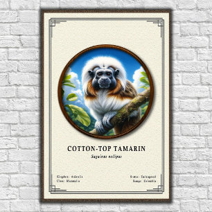 Bomullstopad Tamarin Zoologi Serie Poster