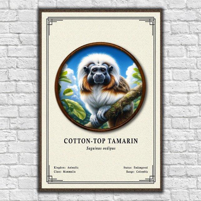 Bomullstopad Tamarin Zoologi Serie Poster (Skapare uppladdad)