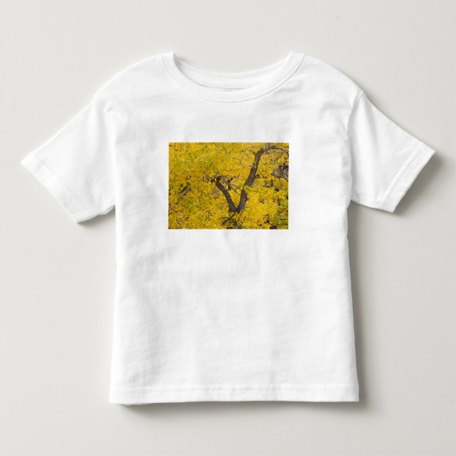 Bomullsträd i höstfärger i Glacier Tee Shirt (Framsida)